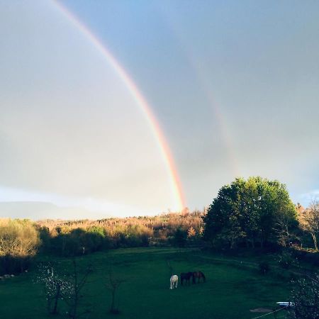 Mensagem Da Estrela Otel Casal  Dış mekan fotoğraf